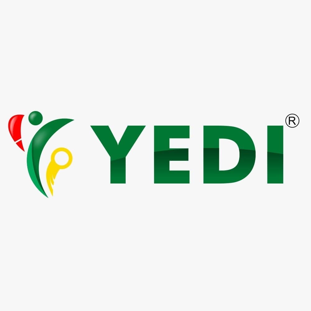 Youth Development and Empowerment Initiative (YEDI) logo image